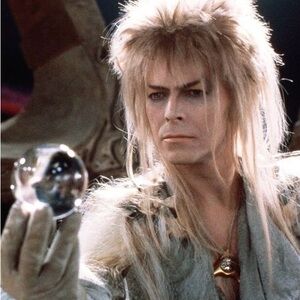 Meet your Posher, Ava